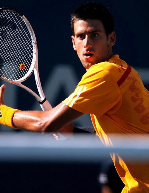 的天价合同 的天价合同